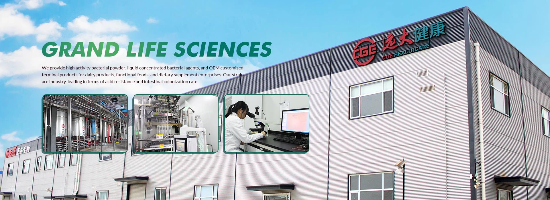 Chinese probiotic factory