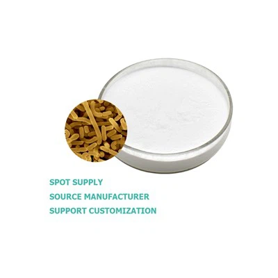 Lactobacillus bulgaricus